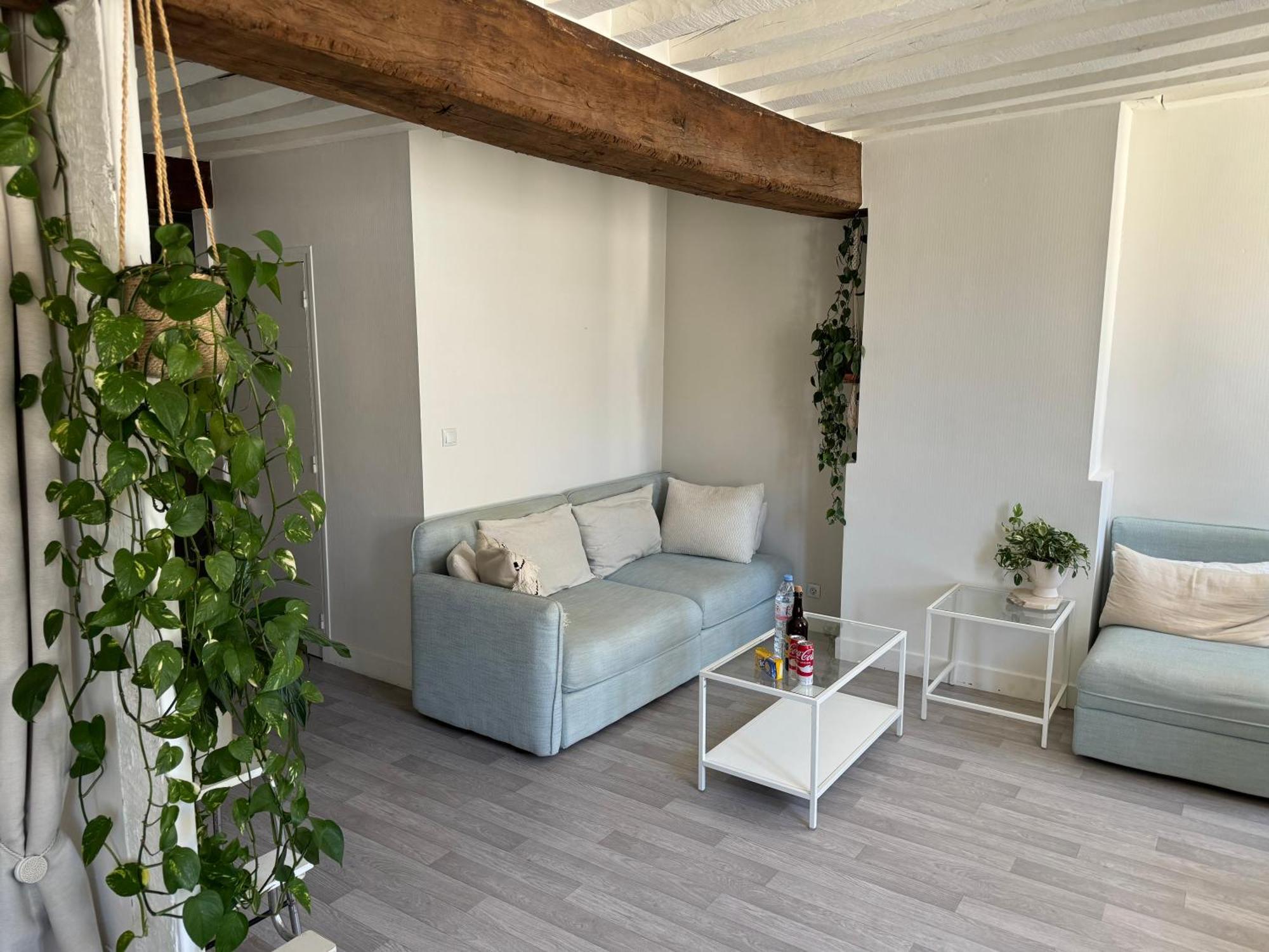 Appartement Central - Orleans Ngoại thất bức ảnh
