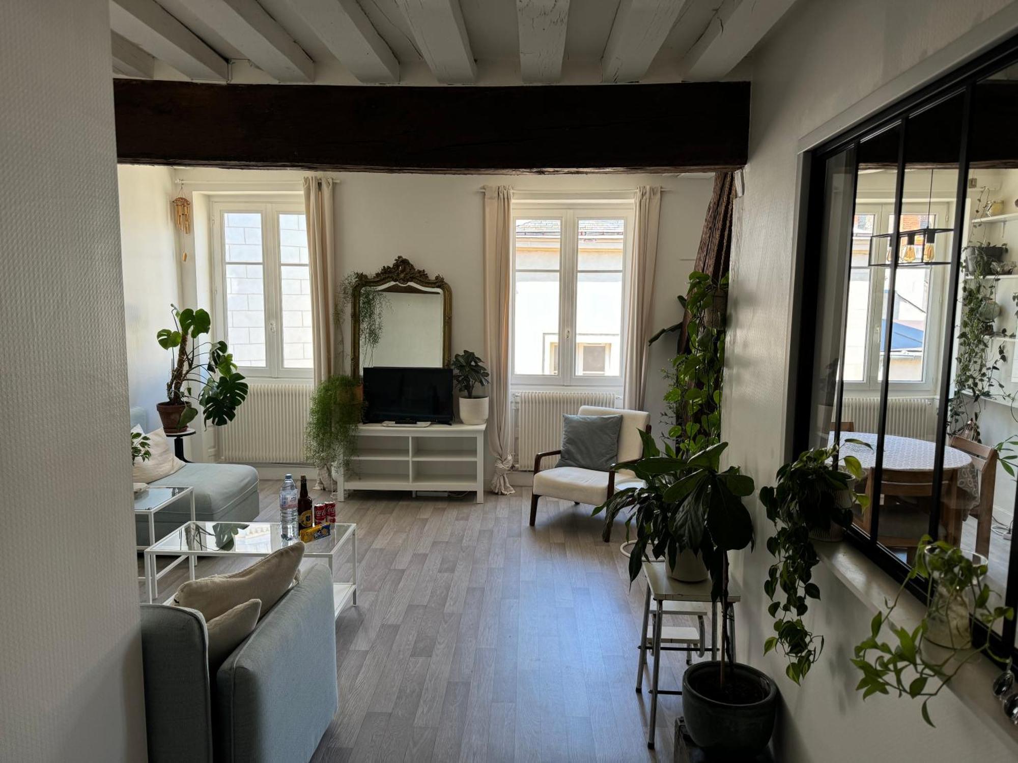 Appartement Central - Orleans Ngoại thất bức ảnh